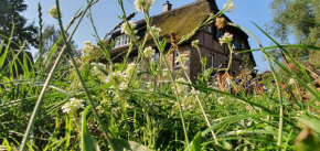 Apartment Freterg Holt, Nähe Binz in traumhafter Alleinlage, Beirau & Beirau GbR in Zirkow